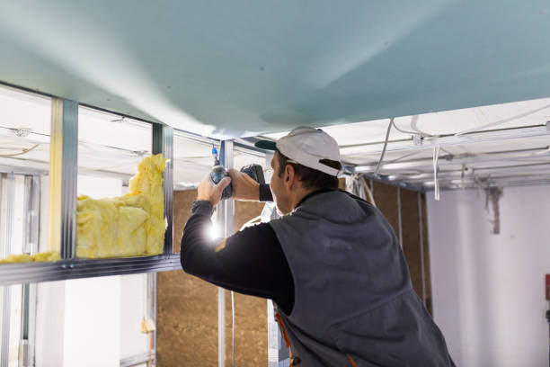 Best Cellulose Insulation in China, TX
